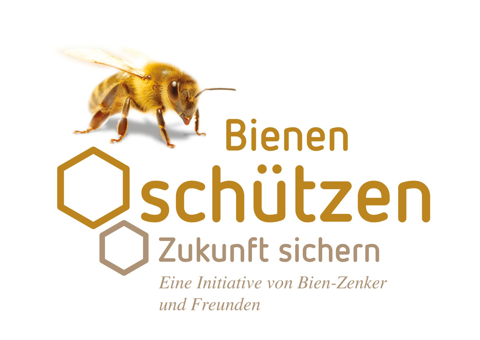 Bien-Zenker SMART 134 – Ihr individuell geplantes Zuhause in Neuberg